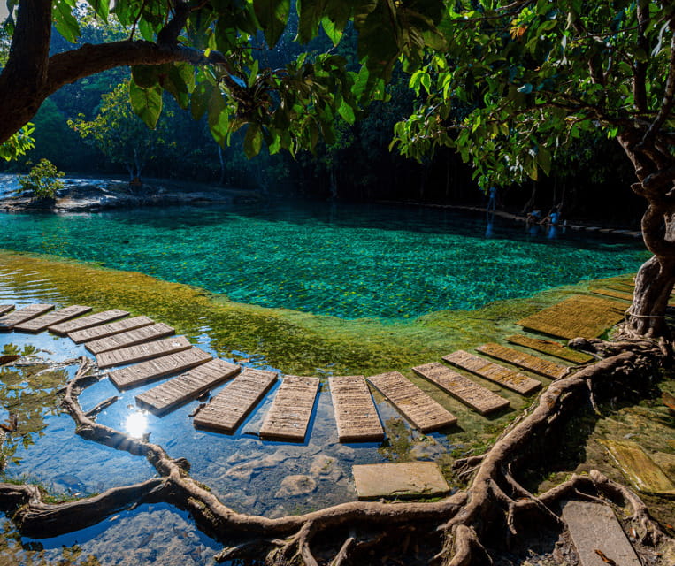 Krabi: Rainforest Jungle Tour with Emerald Pool & Hot Spring - Starting from Ao Nang, Krabi Town, or Krabi Noi