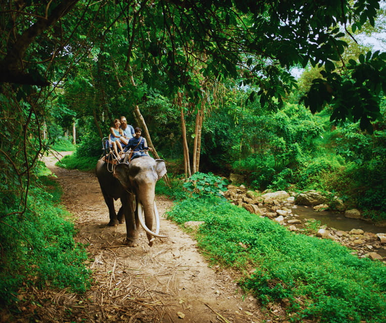 Krabi: Rainforest Jungle Tour with Emerald Pool & Hot Spring - Lunch, drinks, and a timing problem worth knowing