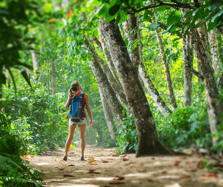 Krabi: Rainforest Jungle Tour with Emerald Pool & Hot Spring - What the $48 price includes, and what it does not