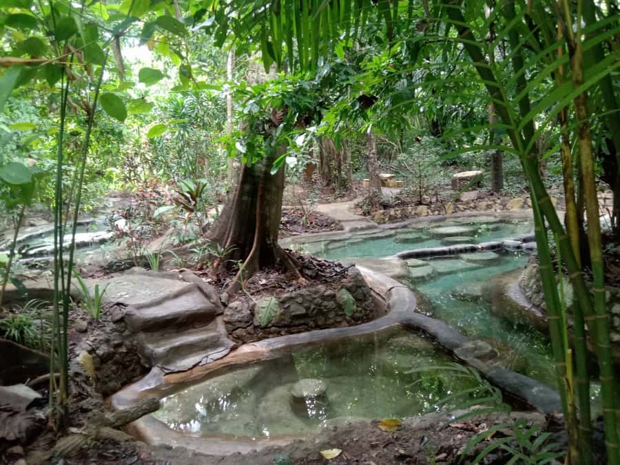 Krabi: Spa and Therapy Half, 1-Hour, or Full-Day Packages - Kinnaree Long Song is the strongest all-rounder