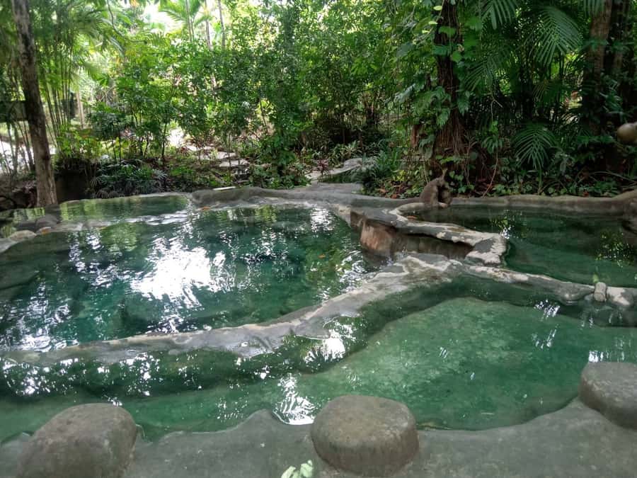 Krabi: Spa and Therapy Half, 1-Hour, or Full-Day Packages - Who will enjoy this spa day most