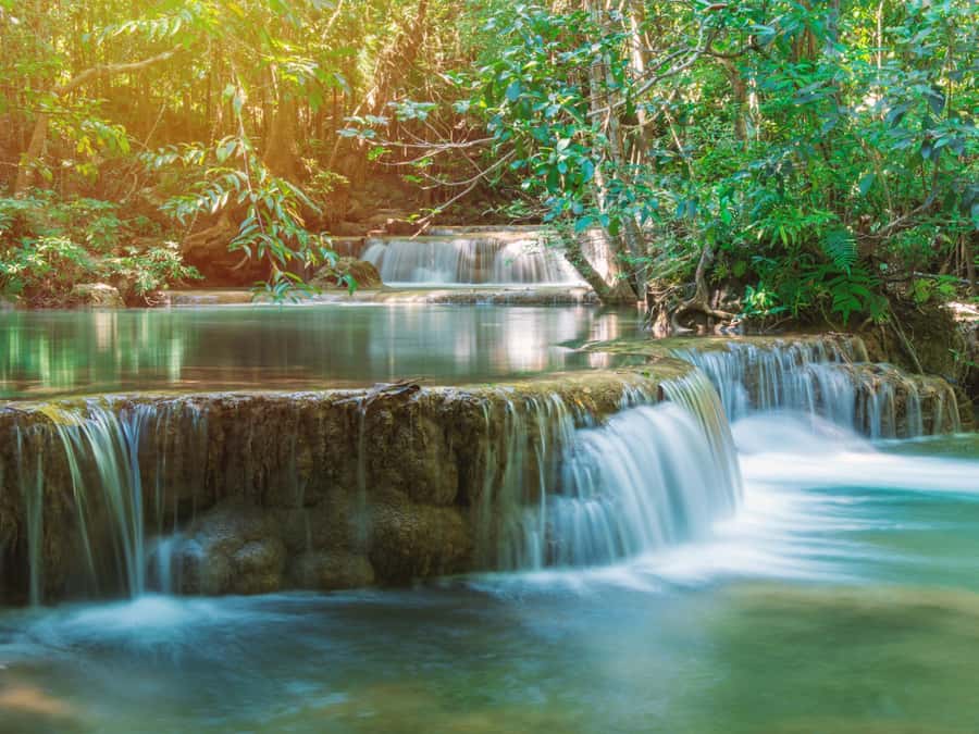 Krabi: Tiger Cave, Hot Springs & Emerald Pool Private Tour - Walking through the jungle to Emerald Pool