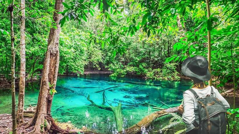 Krabi: Tiger Cave Temple, Emerald Pool and Hot Springs Tour - Why this nine-hour Krabi day works