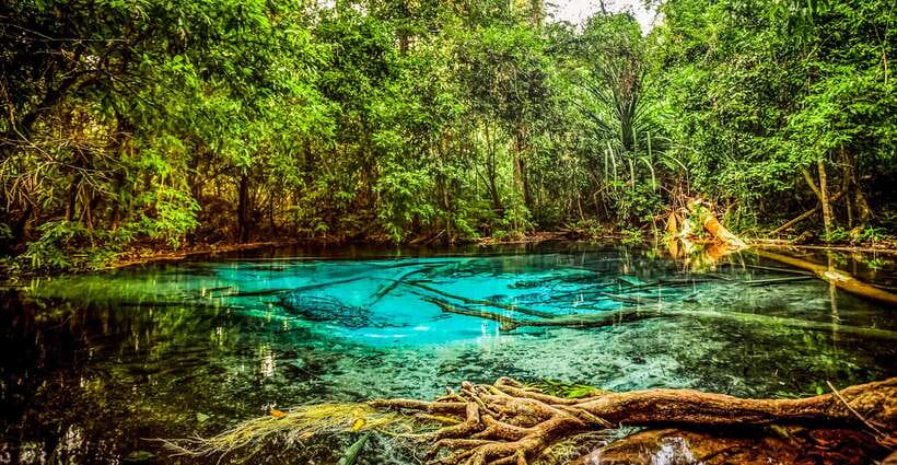 Krabi: Tiger Cave Temple, Emerald Pool and Hot Springs Tour - Should you book the Emerald Pool and Tiger Cave Temple tour?