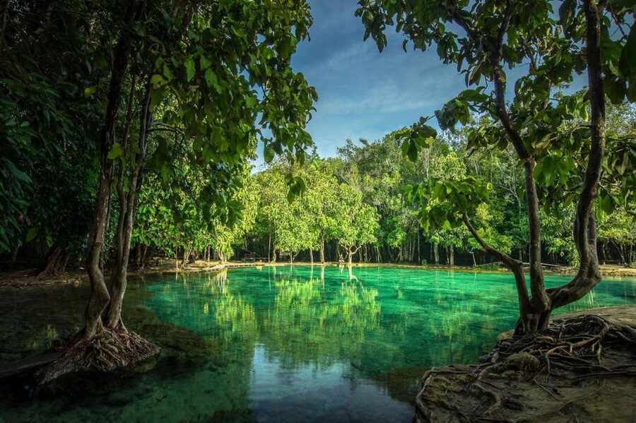 Krabi: Tiger Temple, Hot Springs & Crystal Pool Jungle Tour - Lunch brings the day back down to earth