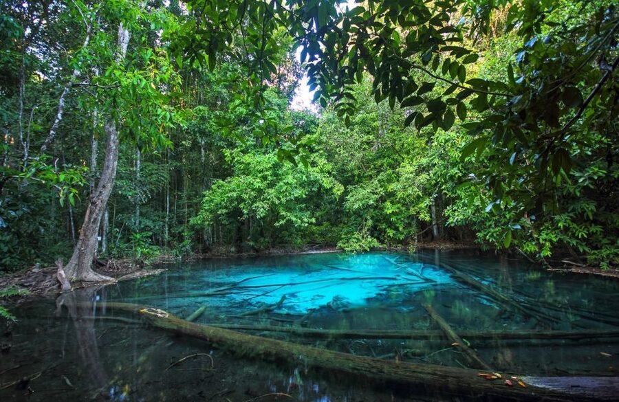 Krabi: Tiger Temple, Hot Springs & Crystal Pool Jungle Tour - Who should book this Krabi jungle tour?