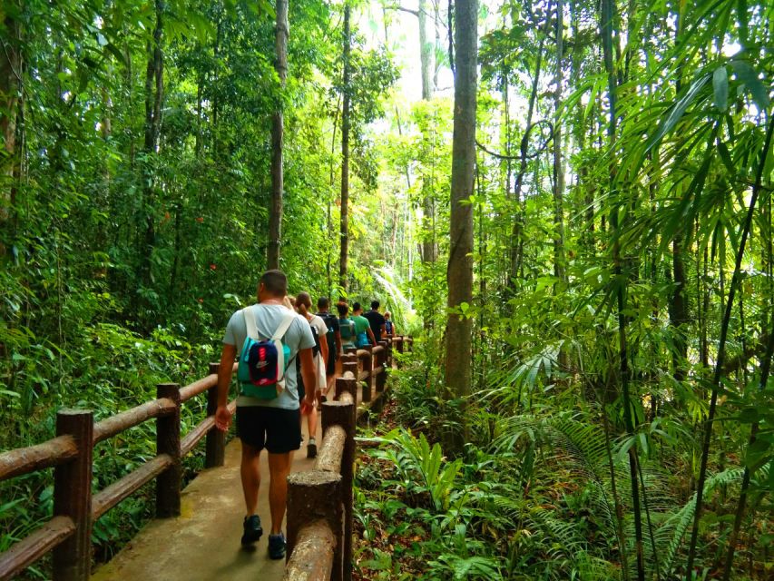 Krabi: Tiger Temple, Hot Springs & Crystal Pool Jungle Tour - The 40°C hot stream waterfall