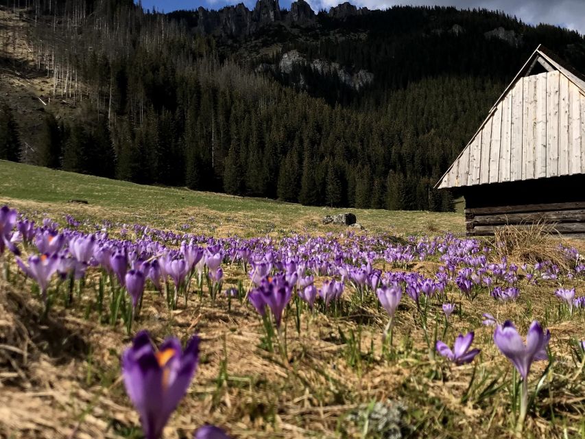 Krakow: Hiking Adventure in Tatra Mountains & Thermal Baths - Practical planning for a better day