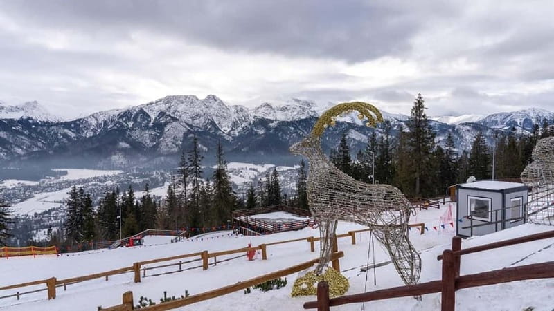 Krakow: Zakopane and/or Thermal Baths Experience - Oscypek, vodka, and a taste of the highlands