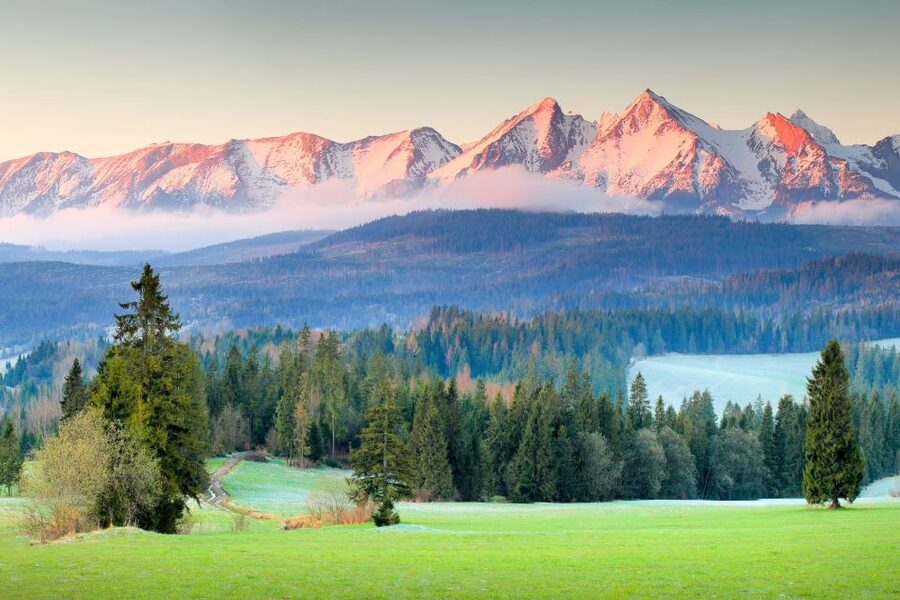 Krakow: Zakopane Day Tour with Optional Thermal Baths - Is the $103 price fair?