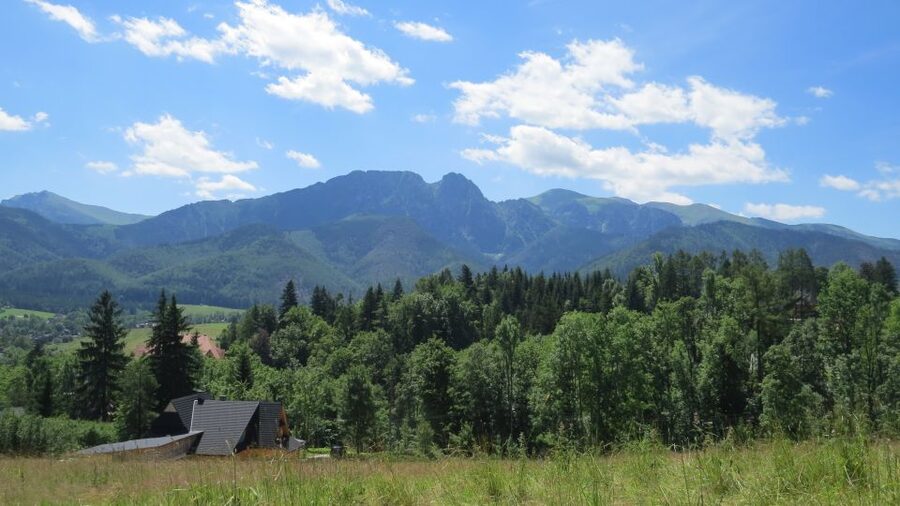 Krakow: Zakopane, Thermal Baths, Cable Car, Vodka, Oscypek - Two hours along Krupowki Street
