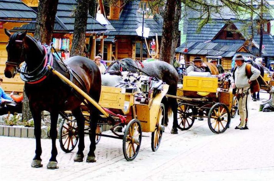 KRAKOW ZAKOPANE TOUR CABLE CAR THERMAL BATHS & HOTEL PICKUP - Who will enjoy this day most