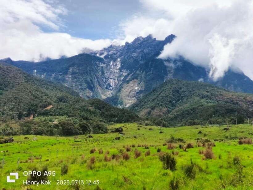 Kundasang : Poring Hot Spring + Desa & Meal Shared Tour - A quick browse at Pekan Nabalu Market