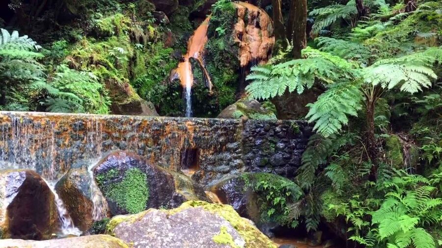Lagoa do Fogo: Biologist-guided Volcano e-Tour +Hot Springs - Value at $56 per person