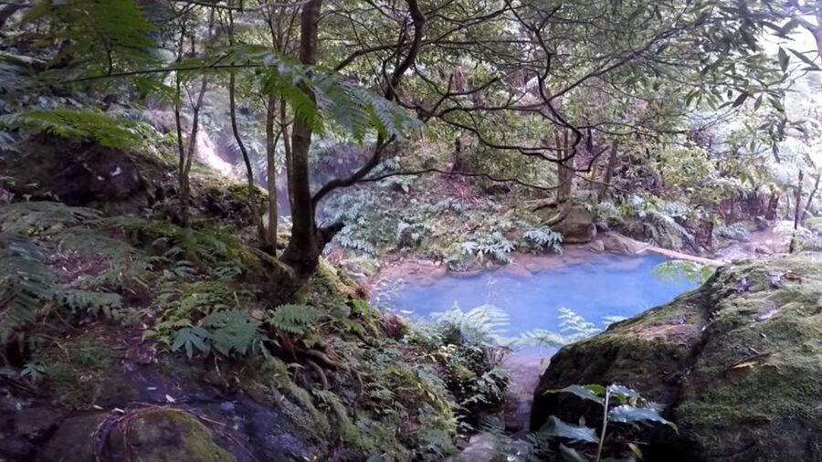 Lagoa do Fogo: Biologist-guided Volcano e-Tour +Hot Springs - What makes this São Miguel half-day worthwhile