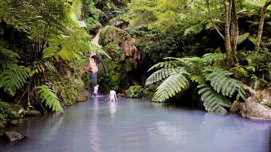 Lagoa do Fogo: Biologist-guided Volcano e-Tour +Hot Springs - Salto do Cabrito and the tour’s second choice