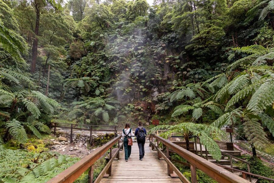 Lagoa do Fogo: Biologist-guided Volcano e-Tour +Hot Springs - What the small group changes