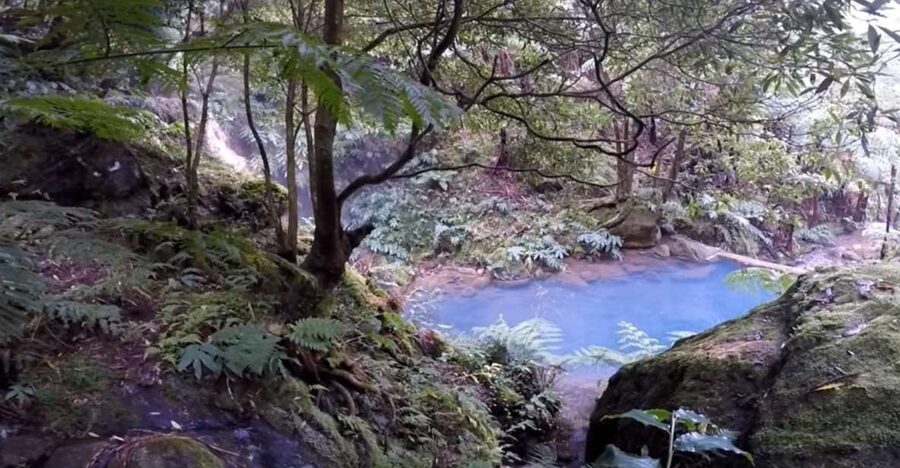 Lagoa do Fogo: Biologist-guided Volcano e-Tour +Hot Springs - Starting at Vila Franca do Campo Marina