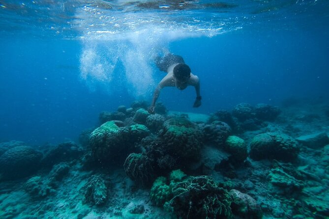 Luxury Cruise inc. Snorkeling/Massage/Island/water sport & Lunch - Two Red Sea snorkeling stops