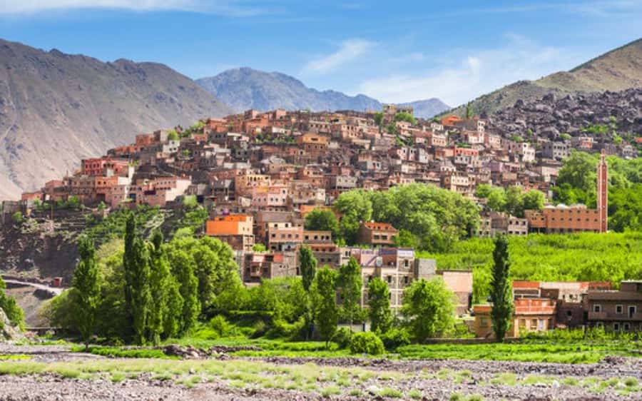 Marrakech: Berber Spa and Traditional Hammam with Steam Room - What the $62 Marrakech Spa Package Includes