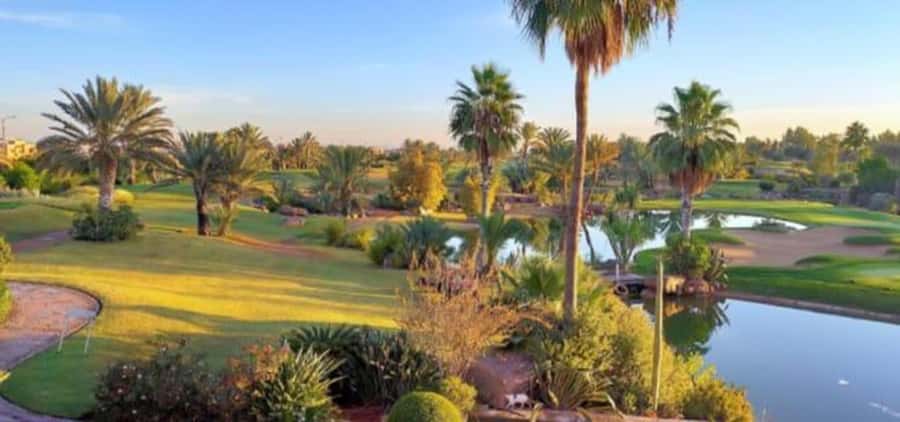 Marrakech: Hammam, Massage and Gourmet Experience - What happens during the two-hour visit