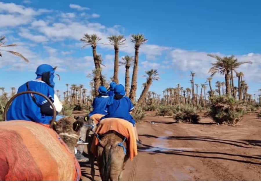 Marrakech: Palmeraie Camel Ride & Traditional Moroccan Spa - Who will enjoy this outing most?