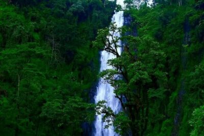 Materuni waterfall – coffee tour OR Chemka hot spring Tour