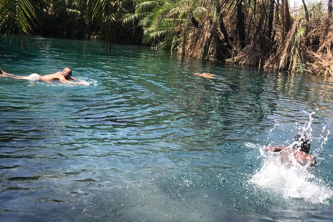 Materuni waterfall - coffee tour OR Chemka hot spring Tour - Kikuletwa, or Chemka, for a warm-water break
