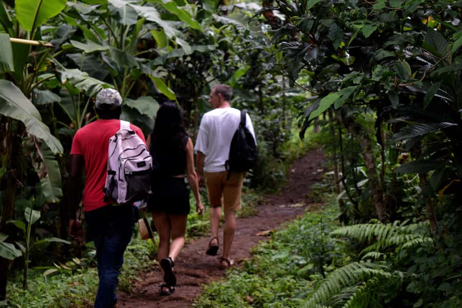Materuni Waterfalls, Chemka Hot Springs, &/Or Coffee Tour - A village start beneath Kilimanjaro