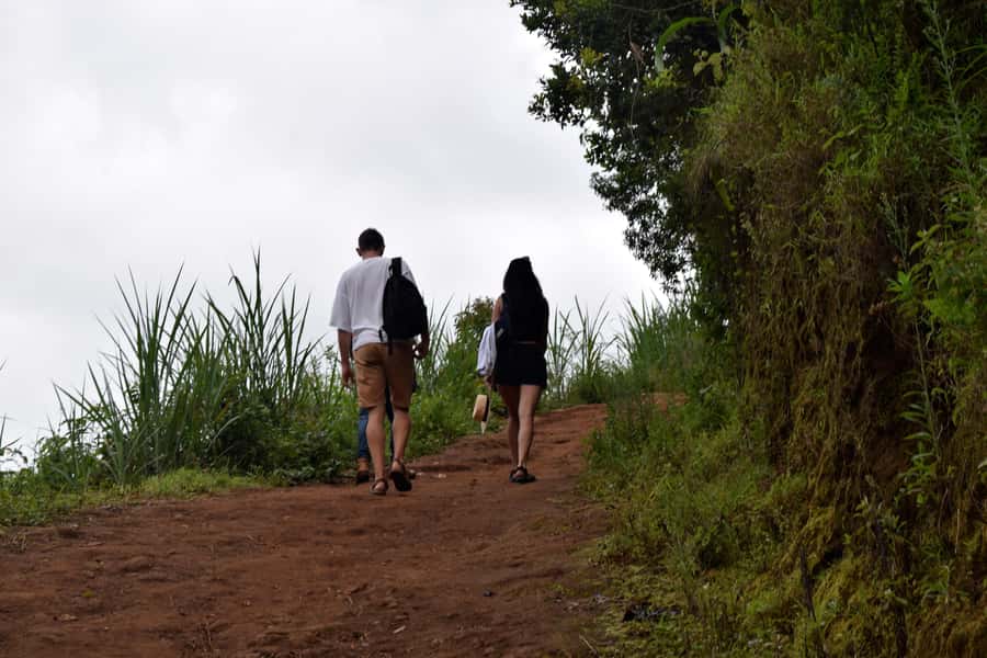 Materuni Waterfalls, Chemka Hot Springs, &/Or Coffee Tour - Coffee made the old-fashioned way