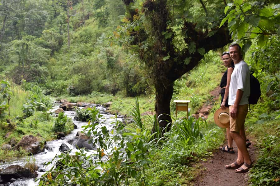 Materuni Waterfalls, Chemka Hot Springs, &/Or Coffee Tour - Chemka Springs, rope swings, and cool water