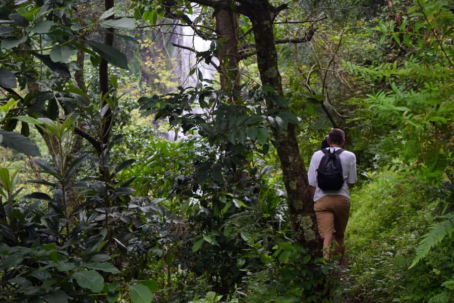 Materuni Waterfalls, Chemka Hot Springs, &/Or Coffee Tour - What the $70 covers
