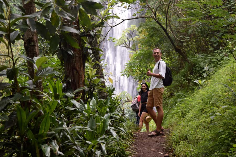 Materuni Waterfalls, Chemka Hot Springs, &/Or Coffee Tour - Final verdict: book the full day or pick your stops?