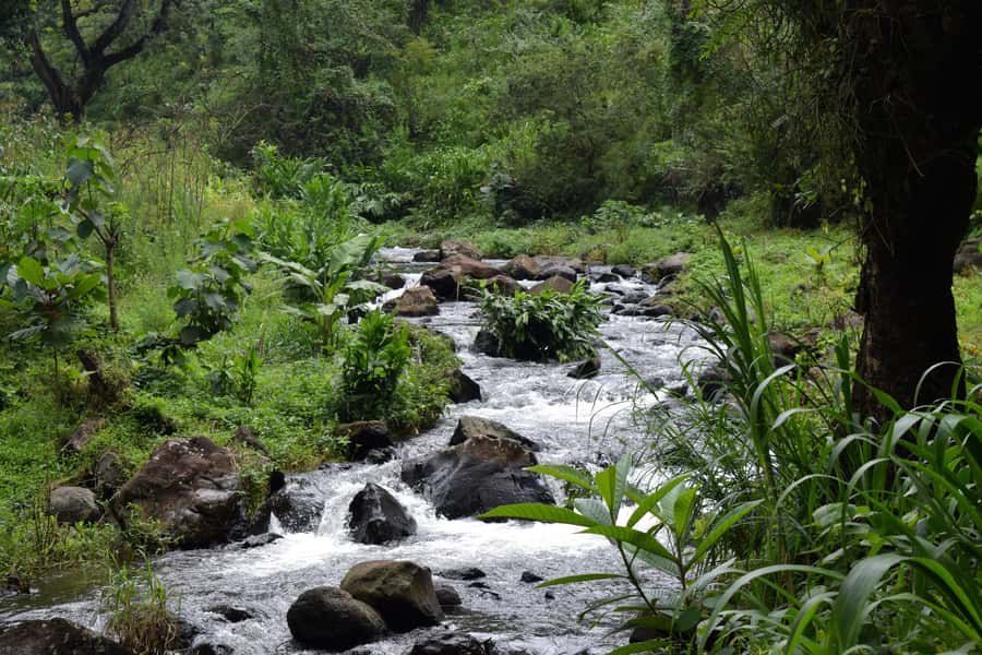 Materuni Waterfalls, Chemka Hot Springs, &/Or Coffee Tour - FAQ
