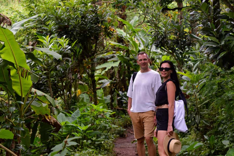 Materuni Waterfalls, Chemka Hot Springs, &/Or Coffee Tour - The 1.5-hour walk to Materuni Falls