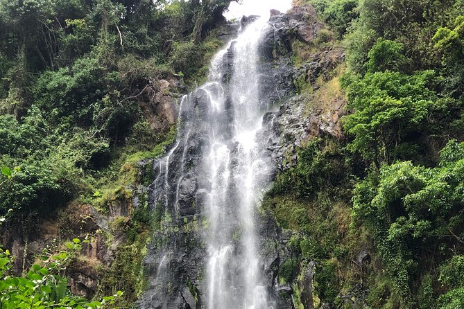 Materuni waterfalls coffee tour & Chemka hot springs Day trip - How the private format affects the day