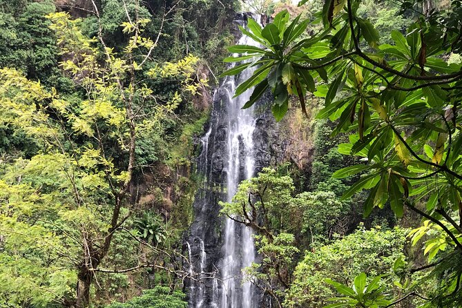 Materuni waterfalls coffee tour & Chemka hot springs Day trip - Is $95 good value from Arusha?