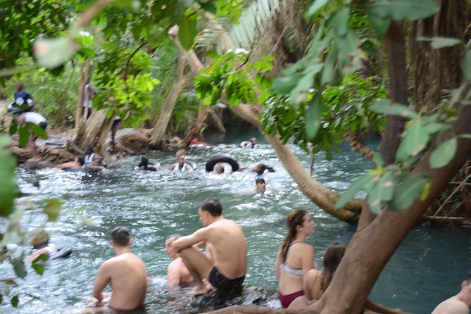 Materuni waterfalls coffee tour & Chemka hot springs Day trip - Practical planning for the day