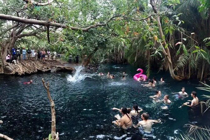 Materuni waterfalls coffee tour & Chemka hot springs Day trip - My final take on Materuni and Chemka