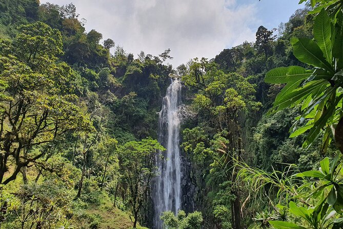 Materuni waterfalls,coffee tour & Kikuletwa(Chemka)Hot Springs - Why this Arusha day trip works