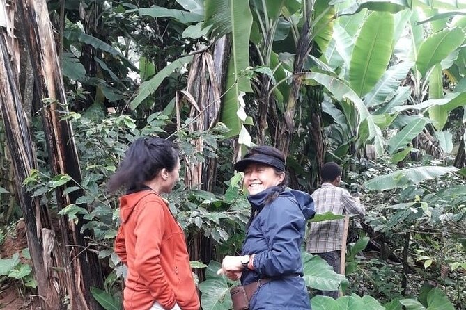 Materuni waterfalls,coffee tour & Kikuletwa(Chemka)Hot Springs - Is $100 a fair price?