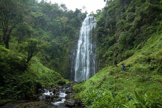 Materuni Waterfalls, coffee tour & Kikuletwa Hot Springs - What makes this day trip worth your time