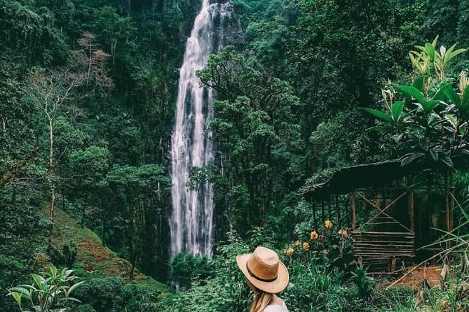 Materuni Waterfalls, coffee tour & Kikuletwa Hot Springs - Chagga coffee is more than a tasting stop