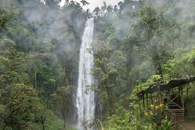 Materuni Waterfalls, coffee tour & Kikuletwa Hot Springs - Your guide shapes the whole experience