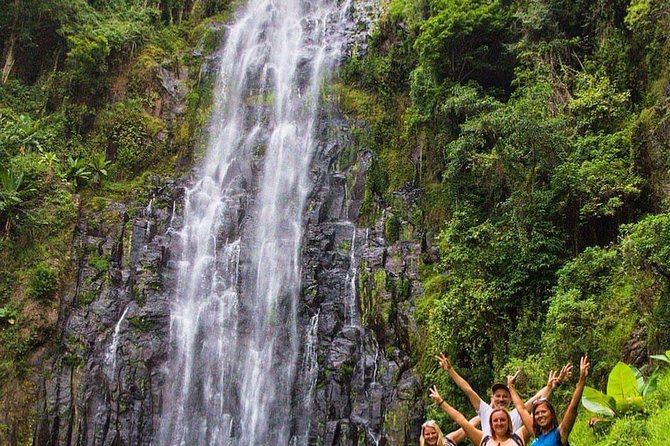 Materuni Waterfalls, coffee tour & Kikuletwa Hot Springs - Who should book this Materuni day trip?