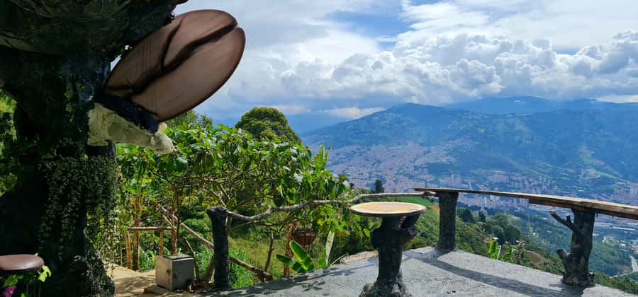 Medellin: Coffee Tour and Wellness Spa - Seeing coffee from seed to brewed cup