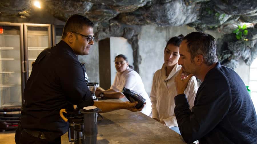 Medellin: Coffee Tour and Wellness Spa - Planting your own coffee tree