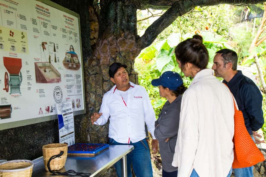 Medellin: Coffee Tour and Wellness Spa - What to bring and what is not included