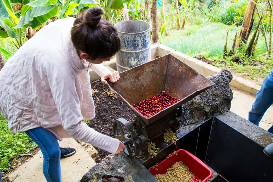 Medellin: Horseback Riding Coffee Farm Tour with Coffee Spa - Should you book the Don Leandro experience?