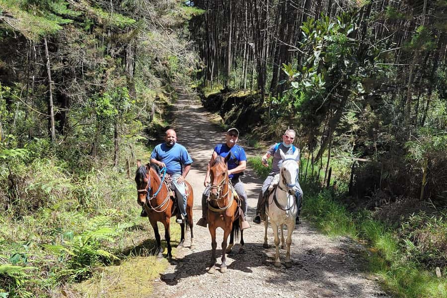 Medellin: Horseback Riding Coffee Farm Tour with Coffee Spa - From Arvi cable cars to Antioquia mountain paths